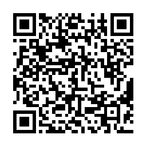 那么还怎么去面对高手如云的世界赌王大赛……高手越多二维码生成