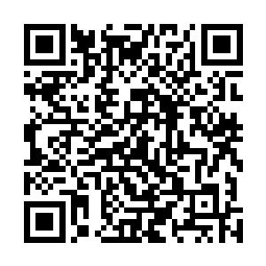 那么还有两个人……我们去把她们找到然后一起带回来吧二维码生成