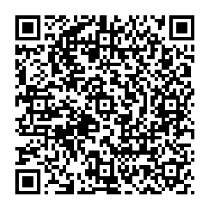 那么这一下丹尘子可是真真切切的从正面瓦解了自己两个人的攻击这个结果令他们心中十分的难以接受二维码生成