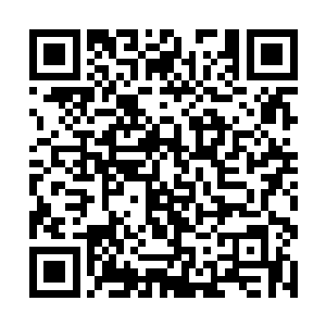 那么这三个月的时间一直都是那叶然在教导陆妙心吗二维码生成