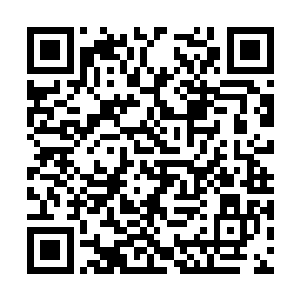 那么这个世界上自己最大的对手也就彻底的没有了二维码生成