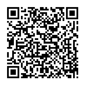 那么这个偷袭者可能是类似于变异食人花的变异树人……这并非完全没有可能的二维码生成