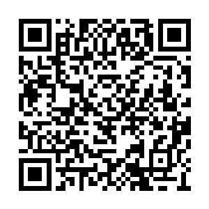 那么这个清羽公子自然是现下最手欢迎的男子了二维码生成