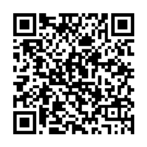 那么这个背后在帮助他们的人应该是有多么地牛逼啊二维码生成