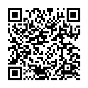 那么这个荒芜之地里岂不是全是带有灵力的生物了二维码生成