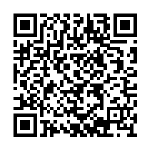 那么这打坐的少年便是皇家学院千年不遇的奇才二维码生成