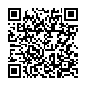 那么这支立寨于董大郎所在坞壁之侧的宋军营盘二维码生成