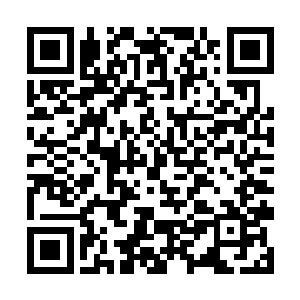 那么这洪荒世界只怕就不仅仅是生灵涂炭这么简单了二维码生成