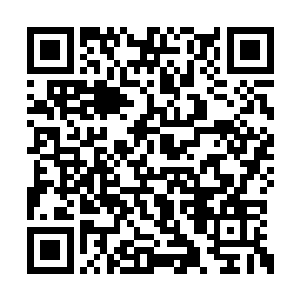 那么这种力量便会对其自身的力量造成各种干扰二维码生成