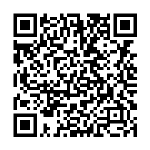 那么这股可怕的力量只怕就会瞬间重创诸多龙族强者二维码生成