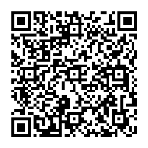 那么违反季节开满整个广场的鲜花和挂满累累果实的果木则让他们连嘴巴都合不拢了二维码生成