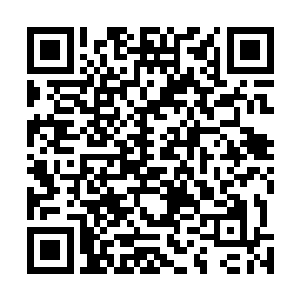 那么造化图空间之中能够演化天劫也没有什么大不了的了二维码生成