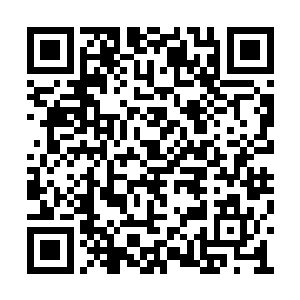 那么那一方土地上的所有生物都会变得狂暴起来二维码生成