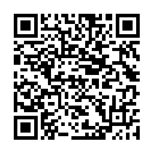 那么那对仙侣必然曾经和卜仙有过不短时间的交集二维码生成