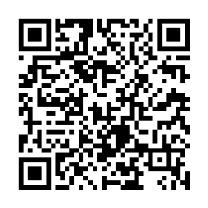 那么陶家便一辈子只能够是被别人瞧不起的九流小家族二维码生成
