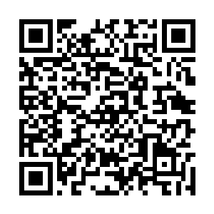 那么难免会有人在郡学府院内开辟一块灵草种植园二维码生成