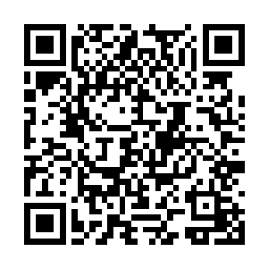 那么青龙皇朝老祖宗等人还继续开战就没有意义了二维码生成