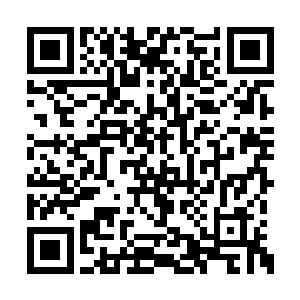 那么靖安王赵珣自然就是那幅压轴的华贵锦缎了二维码生成