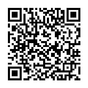 那之前在树上望风的少年立刻解下腰间石匕递给村长二维码生成