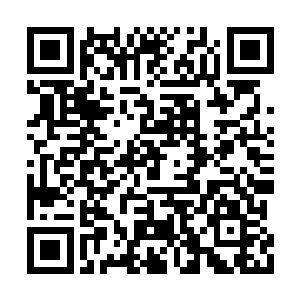 那之前用以启动蛮荒号角消耗的圣气就白白浪费二维码生成