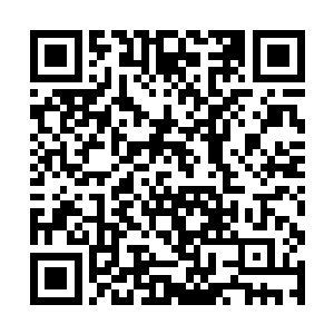 那之前被流墨墨一巴掌抽碎了的半边脸已经重新恢复二维码生成