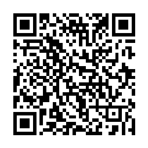 那九个飞天婴颅一飞出去便张口去咬那五个骷髅力士二维码生成