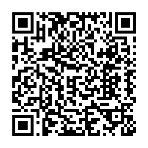 那九头妖神有极大的可能已经知道了当日发生在九幽冰峰附近的一切二维码生成