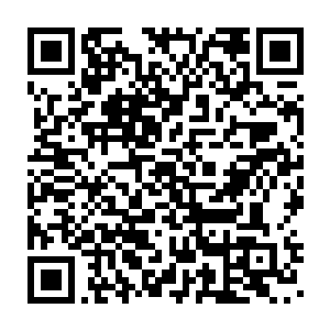 那九朵莲花不会因为自己等人已经取了一个玉简就不传授自己传承吧二维码生成