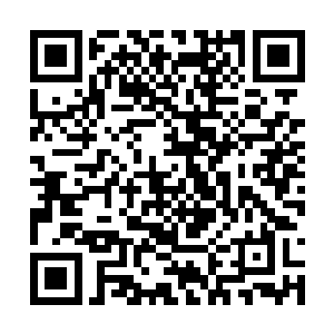 那也仅仅只是因为这些人并没有危害到社会的安定二维码生成