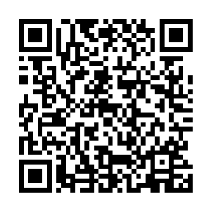 那也许会给田书记留下一个你孙震有点儿沉不住气的感觉二维码生成