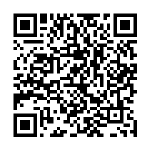 那乾天雷火所化的怪兽与它比较起来根本不是一个重量级的二维码生成