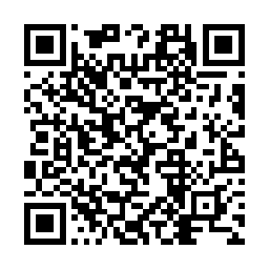 那二三十名冲入地底的神游强者结局自然不会太美妙二维码生成