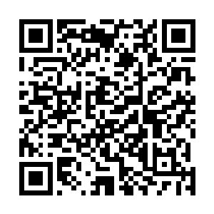 那二十四颗定海神珠便神奇般的出现在了自己的手心当中二维码生成