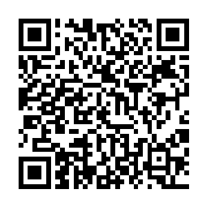 那二类紫金石矿所在的区域用了一种特殊的阵法来遮蔽天机二维码生成