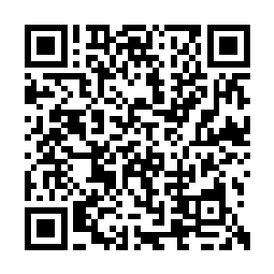 那五个前来接应的分神期修士自然也是听得分明二维码生成