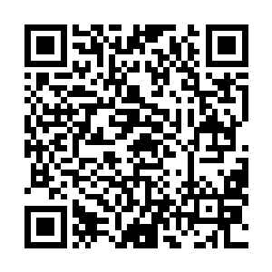 那五大高手就是许紫烟在祭坛五根柱子下见到了五个修士二维码生成