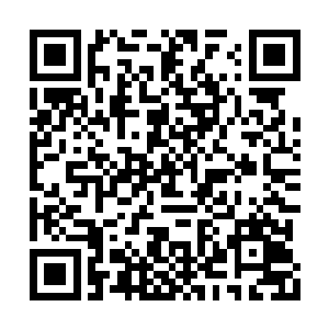 那五艘大红花船正好行驶到乱石最多的一片水域二维码生成