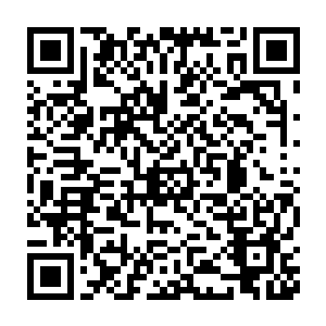那些一直在营地门口癫狂的魔人忽的是那些还没有走的仙人打了照面二维码生成