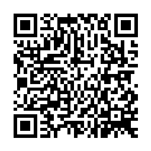 那些一直让我摇摆不定的也做出了选择和最终的决定――当然二维码生成