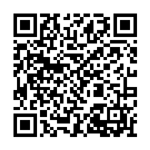 那些上品晶石都是龙傲天在巨塔空间内部得到的二维码生成