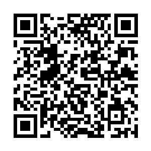 那些不停挥动的甩棍就好像挖掘机上不停鞭打的铁链二维码生成