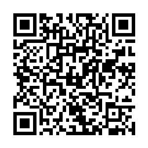 那些不幸和楚旬排在一起的选手全是连台都不敢上二维码生成
