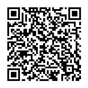 那些不懂事的养殖户直接将死兔子往养殖基地周围的河沟里一扔算完二维码生成