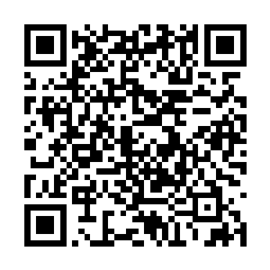 那些不肯归附的大领主一般都是偏远地方的大域主二维码生成