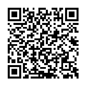 那些东西和夏天的衣服堆在一起可以说一览无余二维码生成