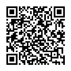 那些丧尸远比第一次丧尸浪潮的时候的那些丧尸来的聪明二维码生成