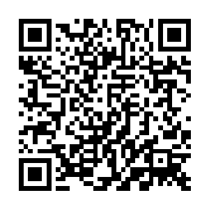 那些个千金小姐那花痴般的目光就没有从他的脸上移开过二维码生成