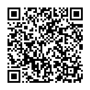 那些个浅淡人影一遇到手腕处被奶奶系上的带着铜钱的红绳就纷纷后退二维码生成