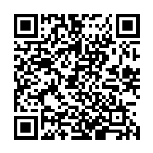 那些个看起来惊险刺激的游乐设施怎么都比不上战场的喋血二维码生成