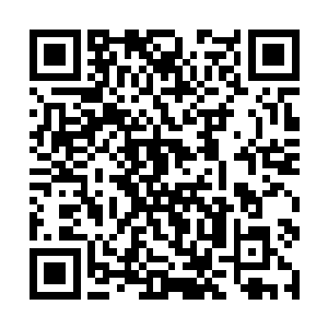 那些中东土豪会将野外抓到的狮子豹子老虎当宠物吗二维码生成